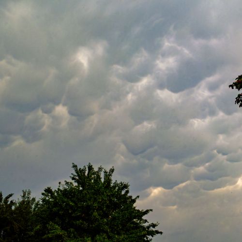 Mammatus