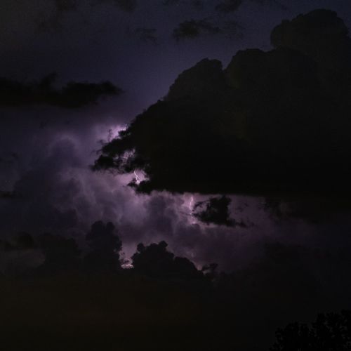 Bord de Seine vers Jumièges